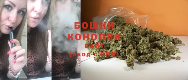 ГАЛЛЮЦИНОГЕННЫЕ ГРИБЫ Баксан