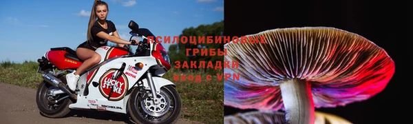 сатива Балабаново