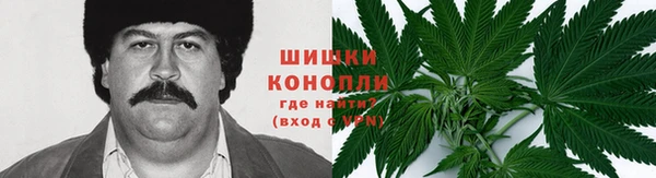 сатива Балабаново