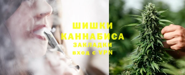 ГАЛЛЮЦИНОГЕННЫЕ ГРИБЫ Баксан