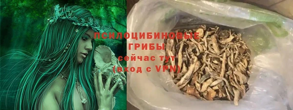 ГАЛЛЮЦИНОГЕННЫЕ ГРИБЫ Баксан