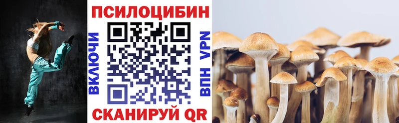 мега сайт  Пудож  Псилоцибиновые грибы Psilocybine cubensis  где купить наркоту 